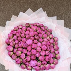 101 şakayık