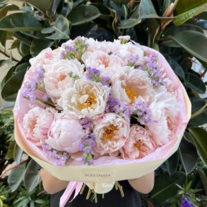 Peony kiss